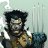 wolverine2710